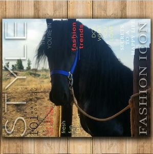 Meet your Posher, Mario